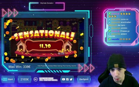 DOGHOUSE MULTIHOLD BIG WIN!┃Online Casino