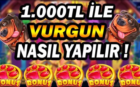 Dog House l KÜÇÜK KASAYLA  VURGUN TAKTİĞİ !!! #doghouse #slot #slotvideoları #pragmat #casino