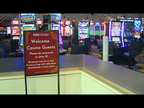 New Danville Casino & Online Sports Betting | Dig in 2 It