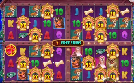 THE DOG HOUSE MULTIHOLD – OPENED ALL 4 WINDOWS -BONUS BUY ONLINE CASINO ONLINE SLOT