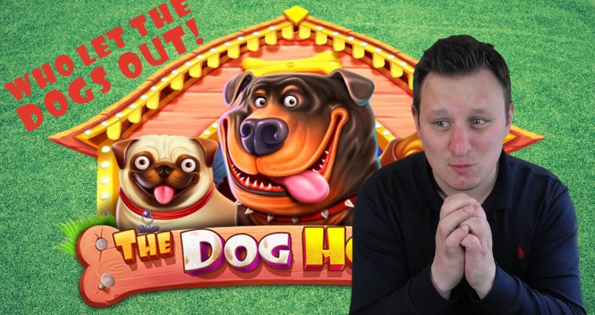 ? Who Let The Dogs Out? ? – A Dog house Special – Online Casino ? Who Let The Dogs Out? ? – A Dog house Special – Online Casino