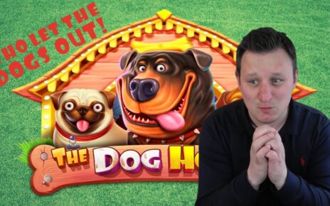 ? Who Let The Dogs Out? ? – A Dog house Special – Online Casino