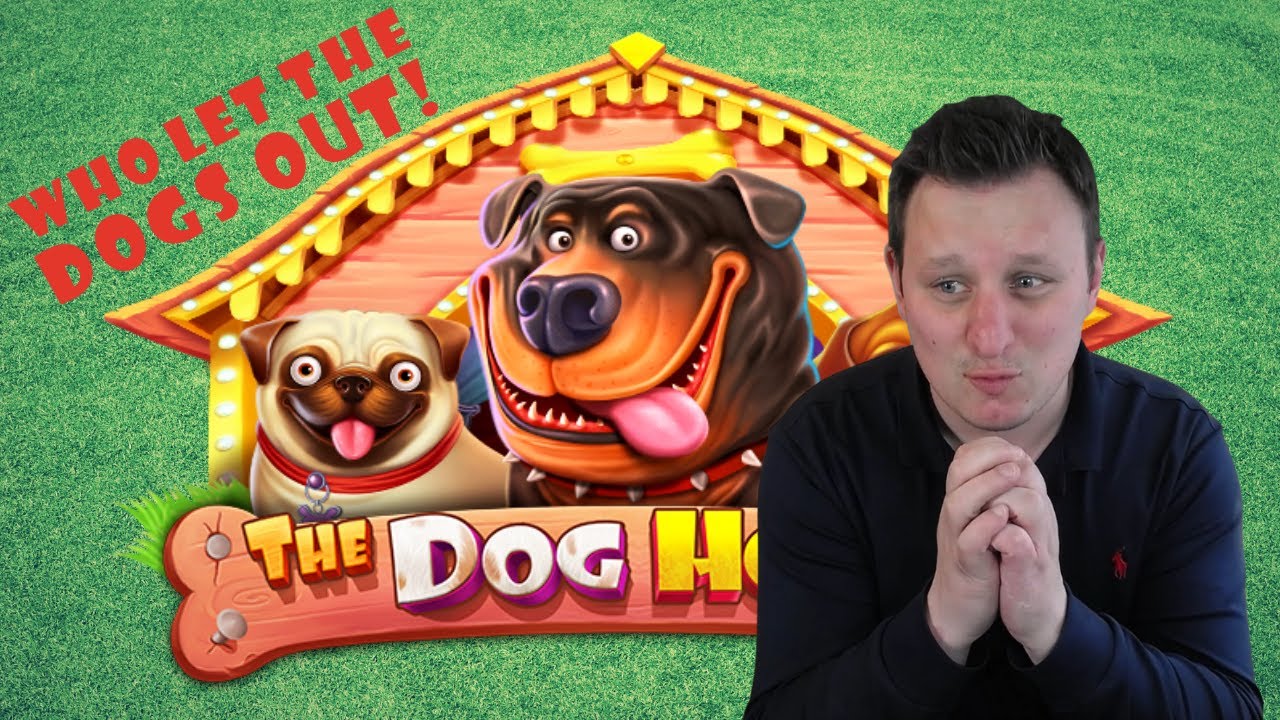 ? Who Let The Dogs Out? ? - A Dog house Special - Online Casino