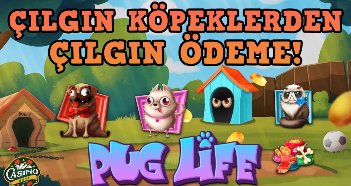 BU KÖPEKLERDEN ZARAR GELMEZ | HACKSAW GAMING SLOT OYUNU | Pug Life BU KÖPEKLERDEN ZARAR GELMEZ | HACKSAW GAMING SLOT OYUNU | Pug Life