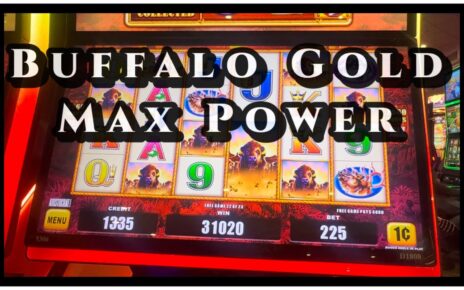 Buffalo Gold Max powerfulness ? Big Win Bonus! Bally’s Casino: Dover, Delaware