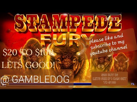 Chumba Online Casino  BuyIn. Let’s reckon how Chumba Treats Me Today. delight subscribe ‎@gambledog 