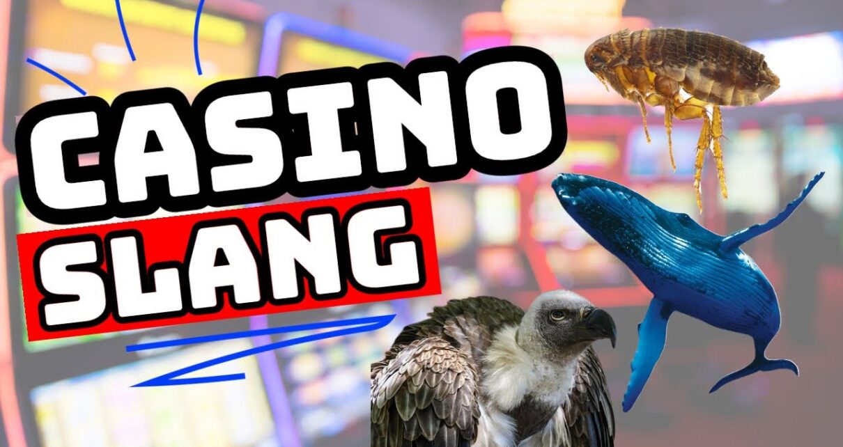 Casino Employee Slang Terms Revealed! ? Insider Comedy by a Former Casino Employee ?