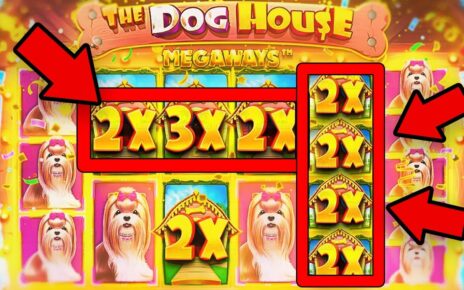 DOG HOUSE 500x | BIG WIN ONLINE SLOTS | ONLINE CASINO