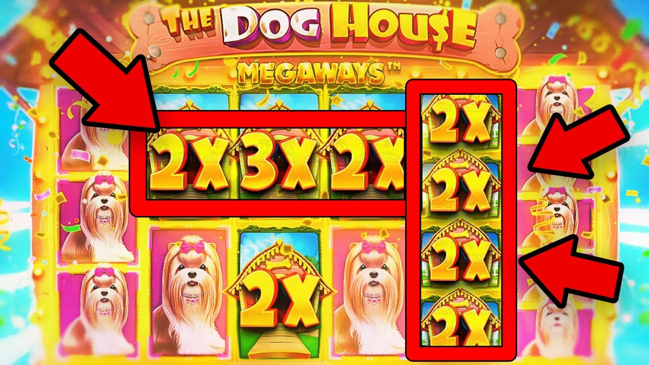 DOG HOUSE 500x | BIG WIN ONLINE SLOTS | ONLINE CASINO