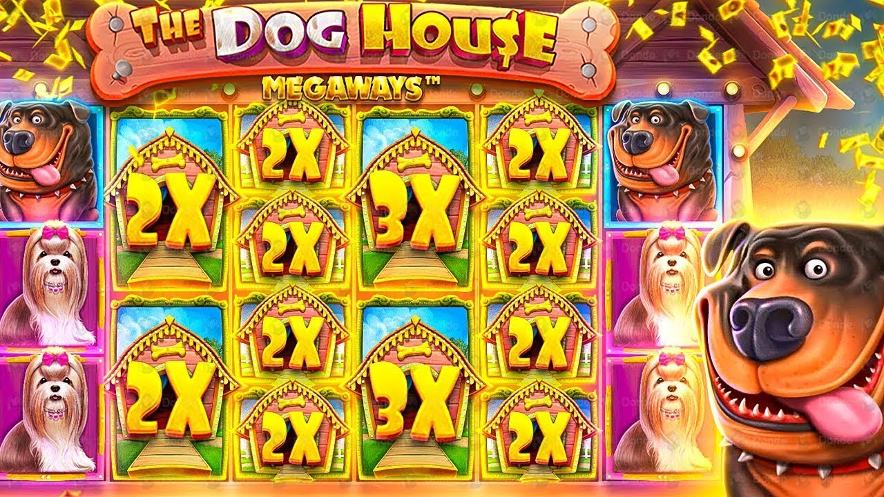 DOG HOUSE | BIG WIN ONLINE SLOTS | ONLINE CASINO