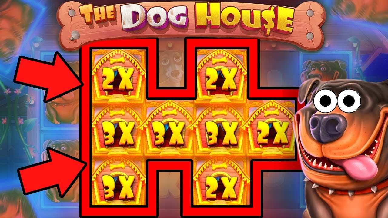 DOG HOUSE MAX WIN | BIG WIN ONLINE SLOTS | ONLINE CASINO