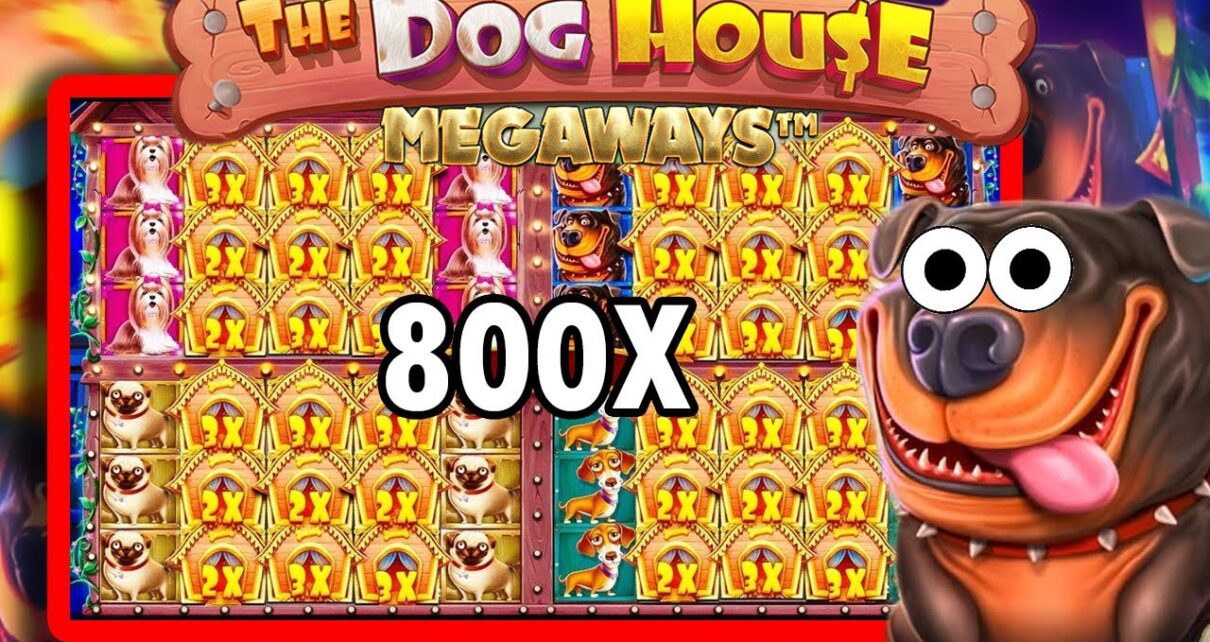 DOGE HOUSE CRAZY MULTIHOLD | BIG WIN ONLINE SLOTS | ONLINE CASINO