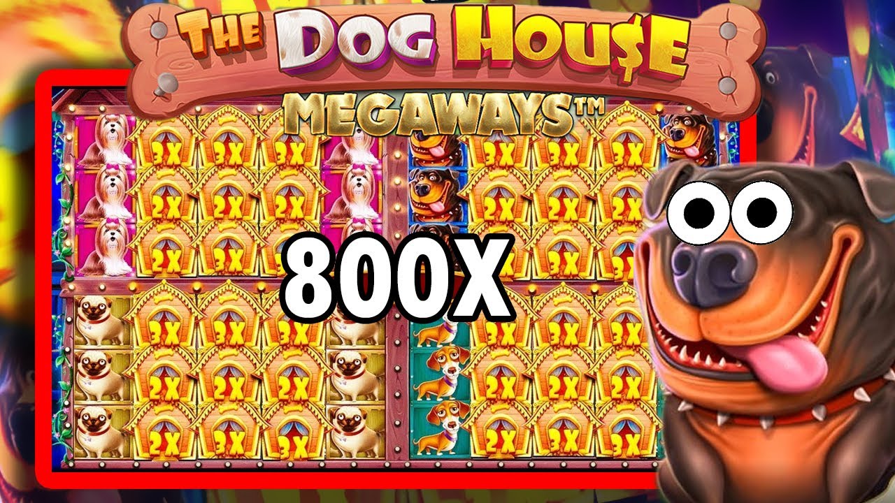 DOGE HOUSE CRAZY MULTIHOLD | BIG WIN ONLINE SLOTS | ONLINE CASINO