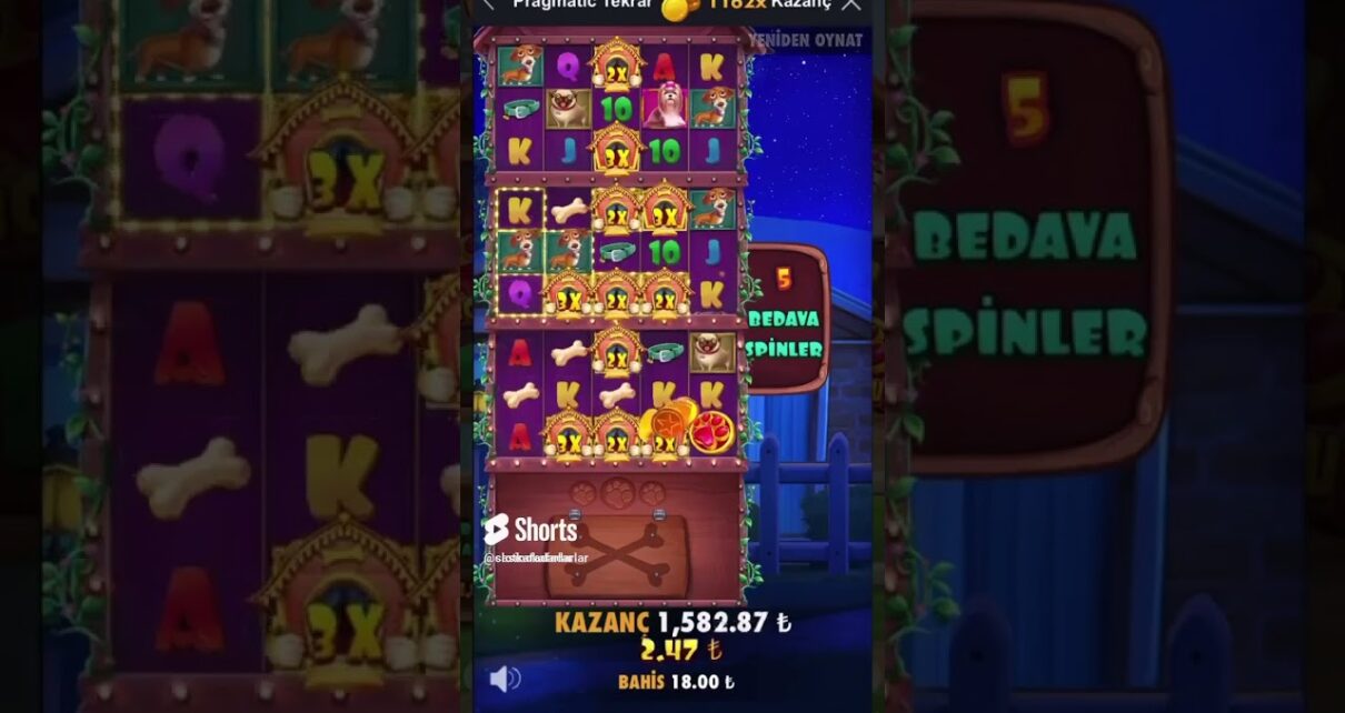 Dog House MultiHold Küçük kasa büyük vurgun
