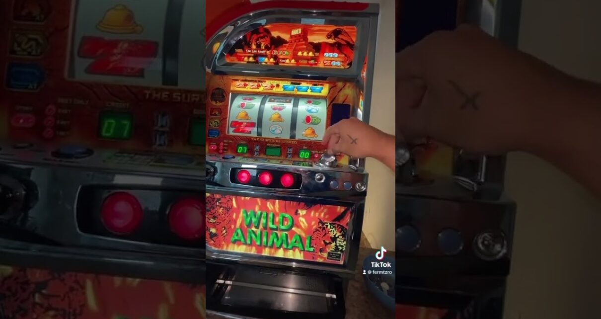 Encontré una máquina de casino en un contendor de 0