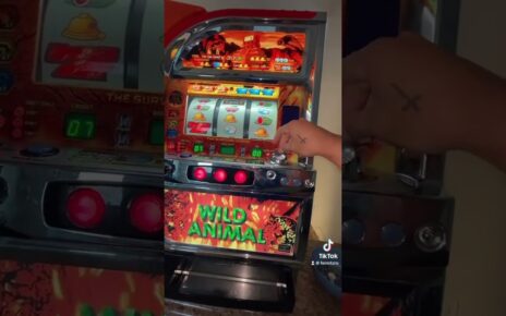 Encontré una máquina de casino en un contendor de 0