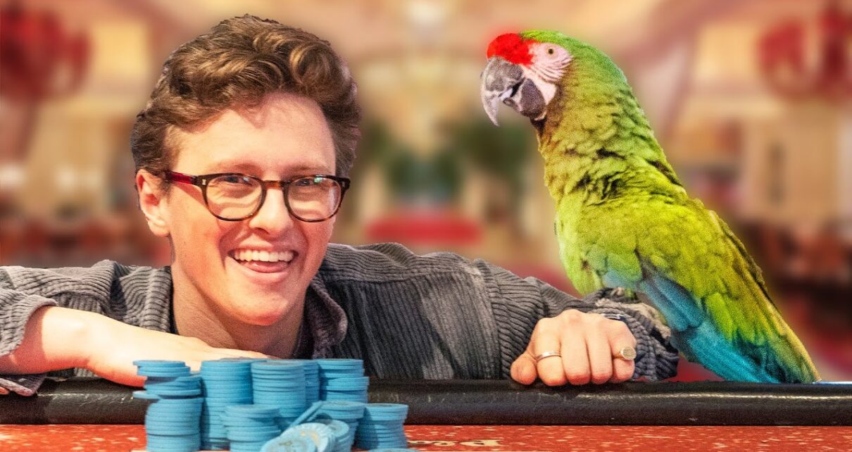 I Hired A Talking Parrot To Bet For Me In Las Vegas