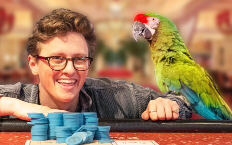 I Hired A Talking Parrot To Bet For Me In Las Vegas