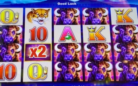 INSANE WINS AT RIVERWIND CASINO! BUFFALO DELUXE JACKPOT HANDPAY !