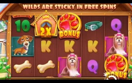 Online Casino The Dog House Slot Machine