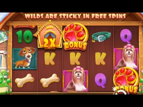 Online Casino The Dog House Slot Machine