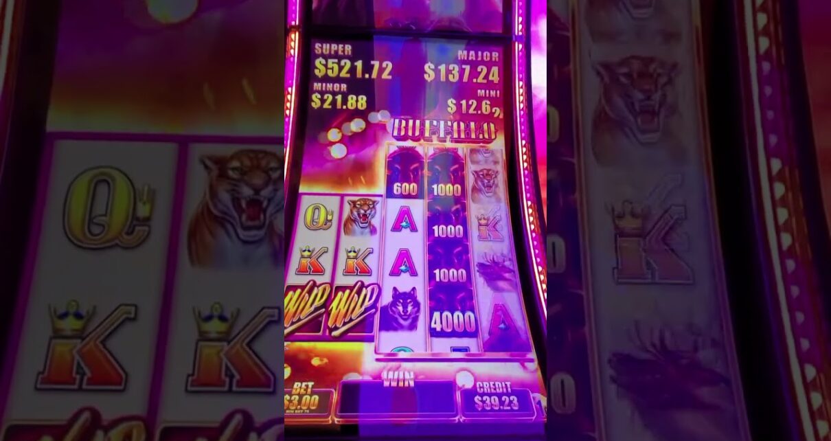 Winning on Wild Wild Buffalo Slot! ??