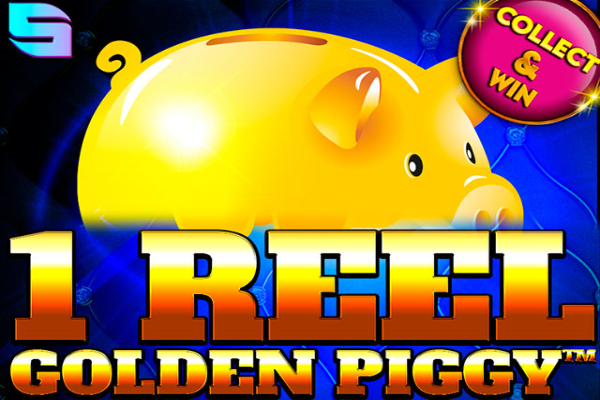 1 Bobina Golden Piggy