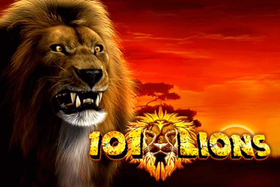 101 lvů