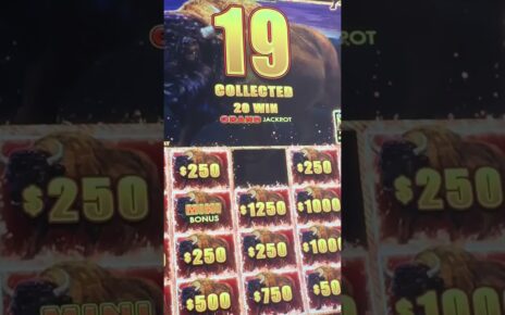 BIGGEST BUFFALO JACKPOT OF MY LIFE #gambling #CASINO #slots