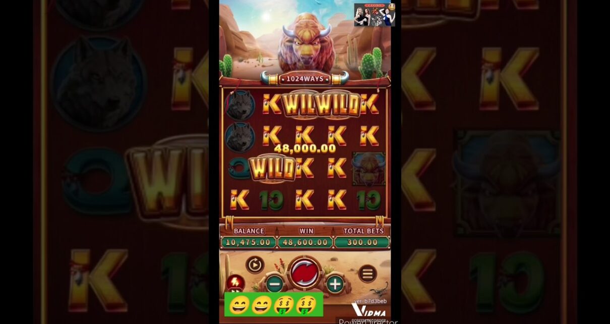 Crazy buffalo | Fachai | ? #bigwin #onlinecasino #slotmachine