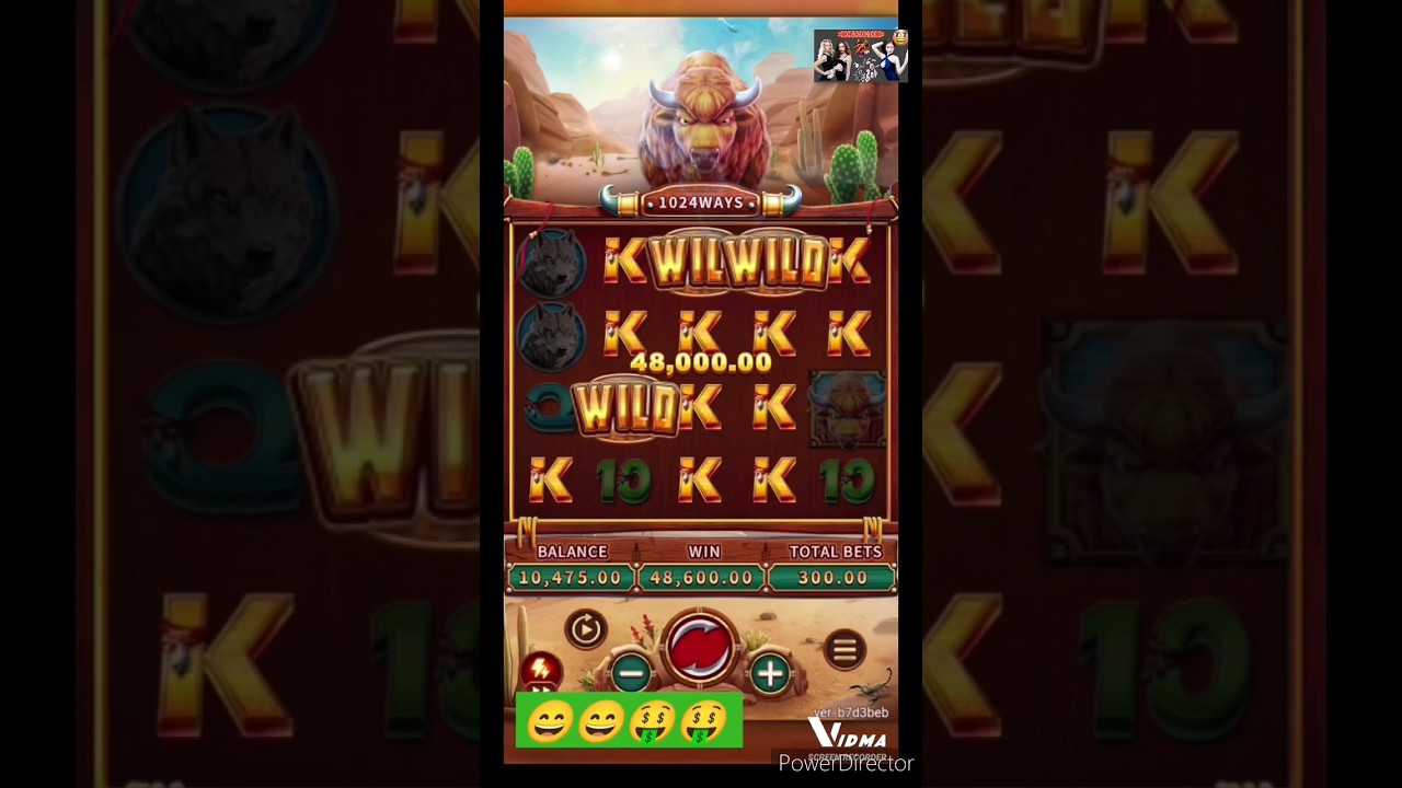 Crazy buffalo | Fachai | ? #bigwin #onlinecasino #slotmachine