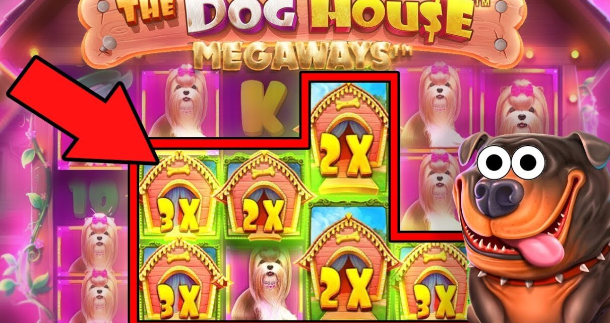 DOG HOUSE BIG WIN | BIG WIN ONLINE SLOTS | ONLINE CASINO