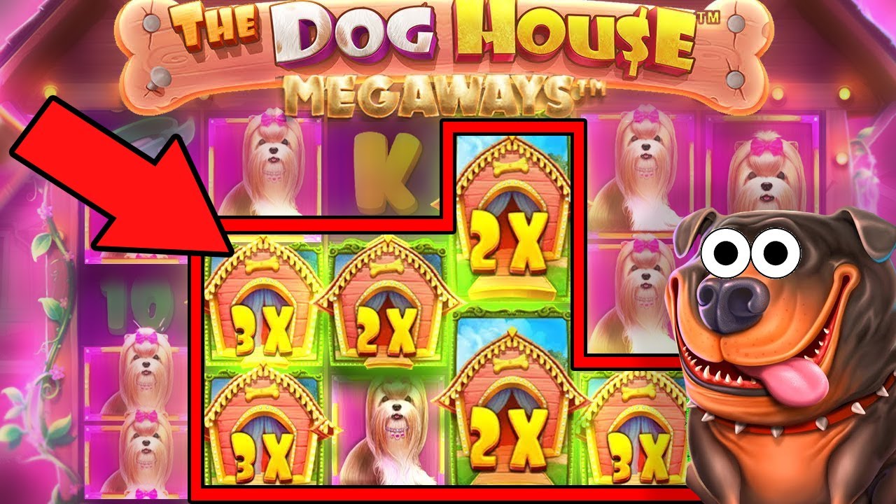 DOG HOUSE BIG WIN | BIG WIN ONLINE SLOTS | ONLINE CASINO