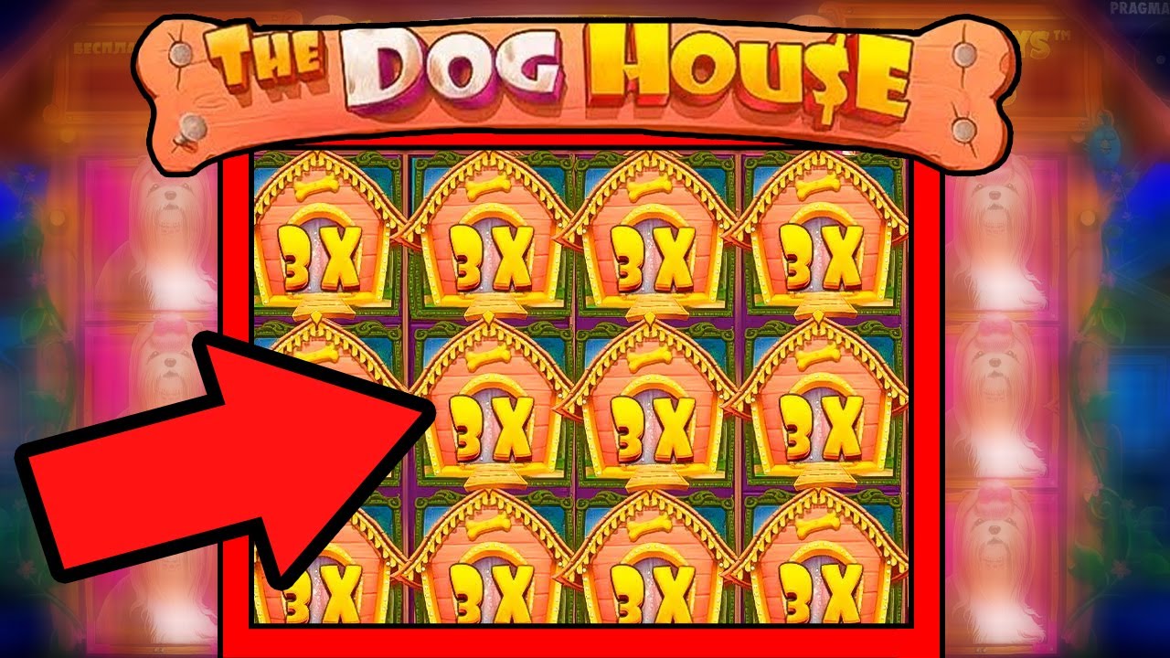 DOG HOUSE Bonus Buy | ONLINE SLOTS | ONLINE CASINO