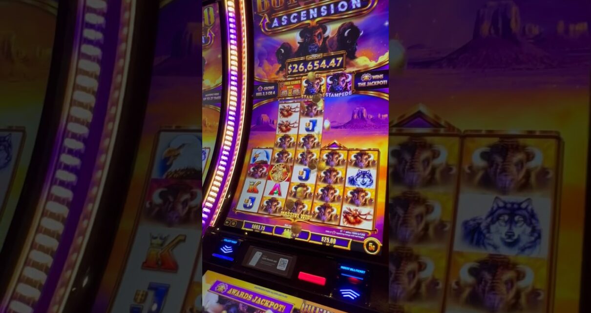 ?EPIC Stampede! So many Buffalo! #casino #slots #buffalo