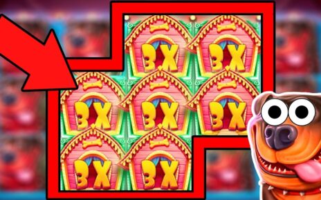 Insane DOG HOUSE Bonus Buy | ONLINE SLOTS | ONLINE CASINO