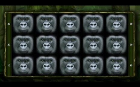 King of the Jungle ? Bally Wulff ? Online Casino ? 150 € Einsatz Freispiele