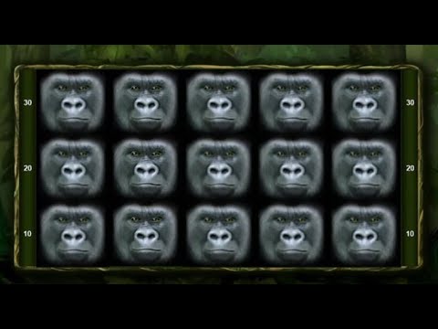 King of the Jungle ? Bally Wulff ? Online Casino ? 150 € Einsatz Freispiele
