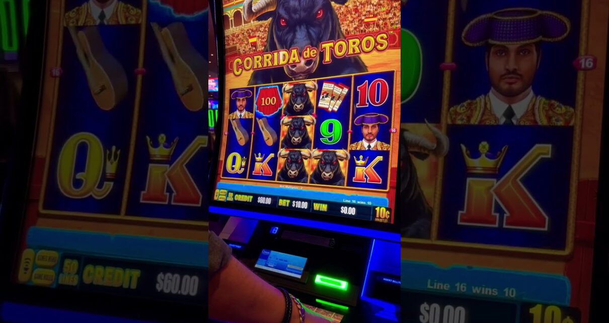 TENGO 0 DOLARES PARA CORRIDA DE TOROS
