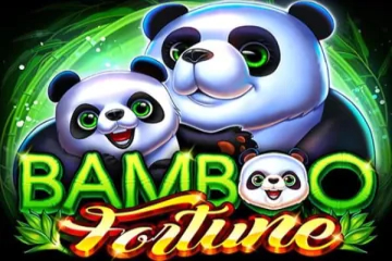 Bambus-Vermögen