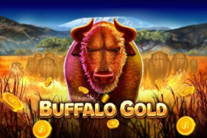 Buffalo goud