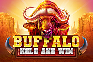 Buffalo Halten und gewinnen