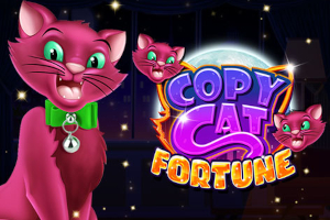 Koperani Cat Fortune