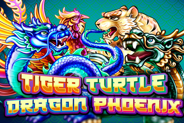 Želva Phoenix Dragon Dragon
