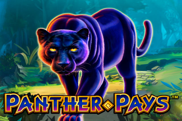 Panther trả tiền