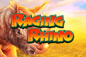 Rhino Raging