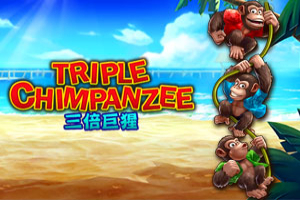 Triplex Chimpanzee
