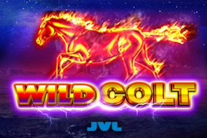 Wild Colt