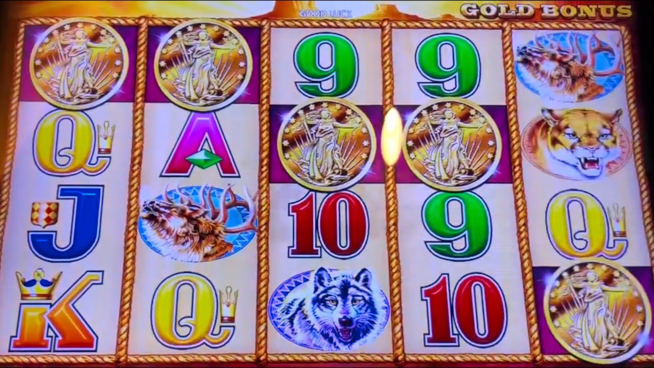 MUST SEE: FIVE COIN RETRIGGER! ? BUFFALO GOLD SLOT MACHINE! #slots #casino #gambling 5 coin trigger