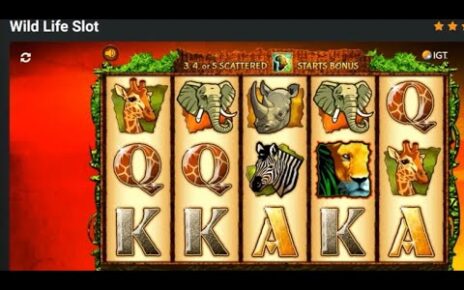 Online Casino Wild Life Slot Machine Gambling